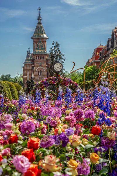 Schöner Blumenschmuck in Timisoara, Rumänien — Stockfoto
