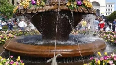 Timisoara, Romanya - 27 Nisan 2018: Güzel eski çeşme Belediye tarafından düzenlenen 