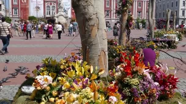 Тимисоара Румыния Апреля 2018 Года Красивые Цветочные Украшения Старой Площади — стоковое видео