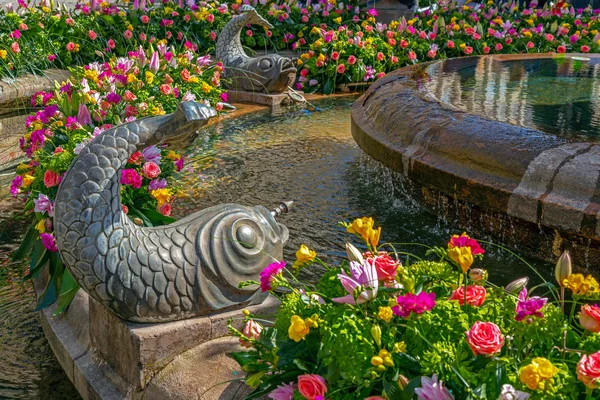 Imágenes: de la rueda de agua | turbina de rueda de agua. el agua que