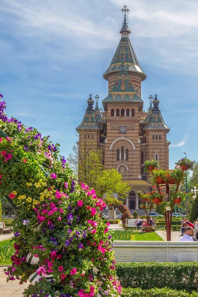 Wunderschöner Blumenschmuck auf dem Siegesplatz, Timisoara, römisch — Stockfoto