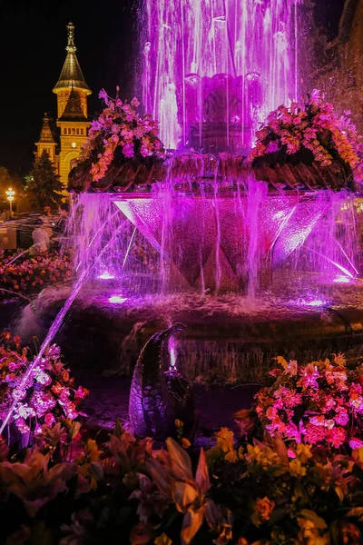 Fontana illuminata con luce viola di notte. Timisoara, Roma — Foto Stock