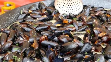 Taze kabuklu arka plan, kurbağa bacağı ve büyük bir tavada midye eti ve pişirmeye hazır. Özellikle Akdeniz yemekleri için..