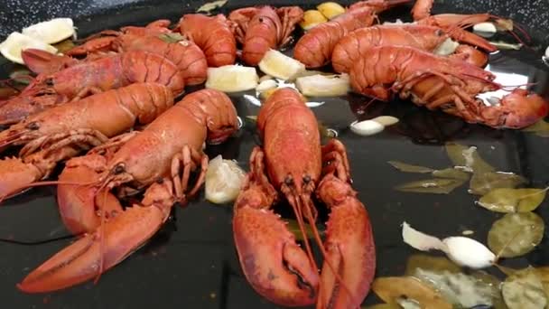 Background Fresh Crayfish Pan Ready Cooking — Stock Video
