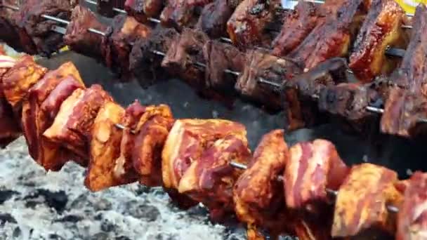 Rows Pork Knuckle Muscles Meat Cooking Rotisserie Charcoal Flame Outdoor — Stock Video