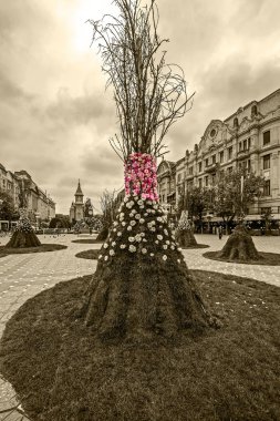 Zafer Meydanı'ndan tarihi binaların panoramik manzarası - Timis