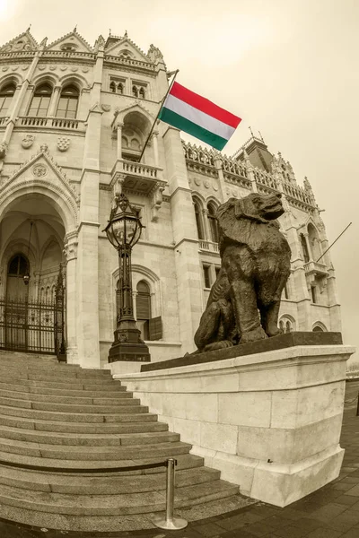Vew du Parlement hongrois — Photo