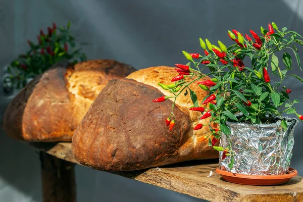 Decoración con casa de pan y flores —  Fotos de Stock