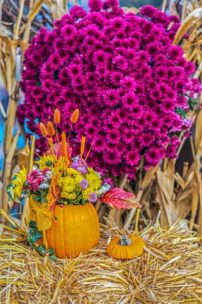 Disposizione autunnale con zucche e fiori — Foto Stock