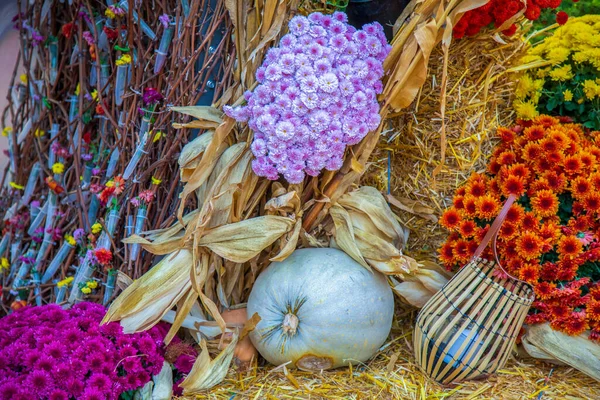 Podzimní Aranžmá Dýněmi Slámou Květy — Stock fotografie