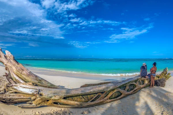 Schöner Wilder Sandstrand Punta Cana Dominikanische Republik Fisch View — Stockfoto