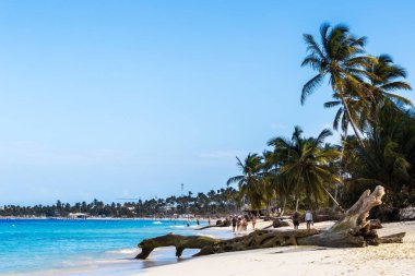 PUNTA CANA, DOMINICAN Cumhuriyet 11 Mart 2020: Punta Cana, Dominik Cumhuriyeti 'ndeki güzel vahşi ve kumsal.