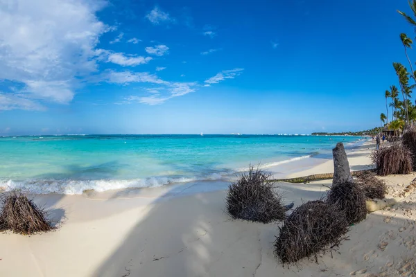 Punta Cana Republika Dominiczna Marca 2020 Piękna Dzika Piaszczysta Plaża — Zdjęcie stockowe