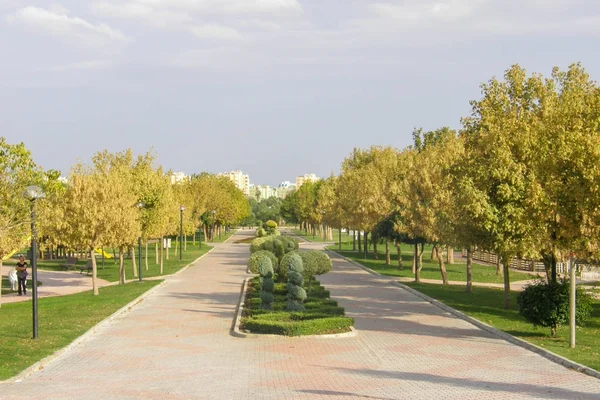 park alanı, dinlenme, çiçek seti, ağaçlar, sonbahar parkı