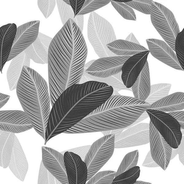 Modèle sans couture de feuilles tropicales palmier . — Image vectorielle