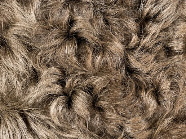 カラクールの毛皮、毛皮のシープスキン、ラムスキンの質感表現の毛皮 — ストック写真