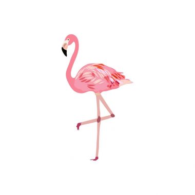 pembe flamingo vektör illüstrasyonu