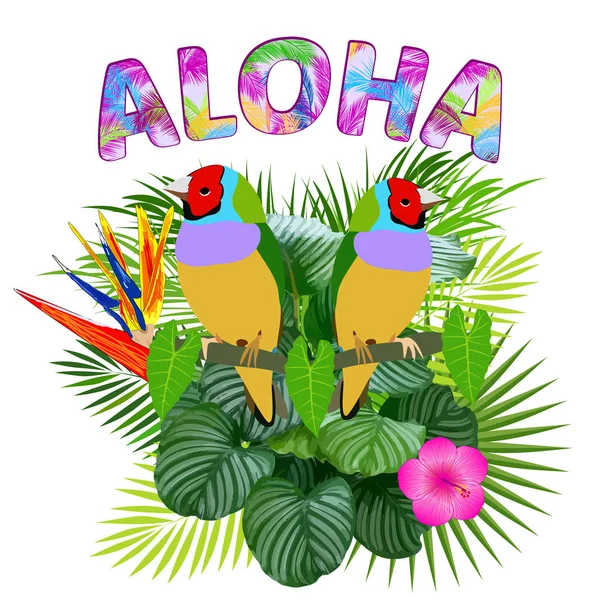 Aloha Hawaje Najlepszy Projekt Creative Plakat Ulotki Prezentacji Tło Wektor — Wektor stockowy