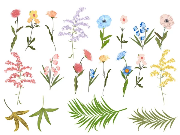 Beyaz arka plan üzerinde ayarla vektör çiçek