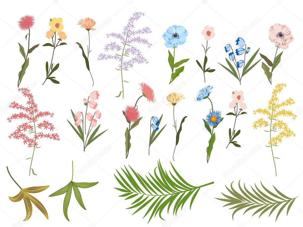 Vector floral set on white background