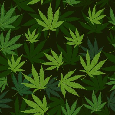 Tıbbi marihuana iz bırakmaz.