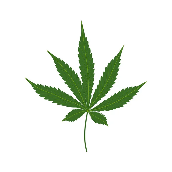 흰 백 위에 격리시켜 놓은 마리화나 혹은 녹색 의 마리화나 잎 — 스톡 벡터