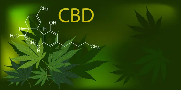 CBD, химическая формула каннабидола на зеленой медицинской марихуане — стоковый вектор