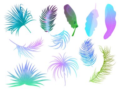 Beyaz sırtında izole edilmiş tropik orman neon palmiye yaprakları.