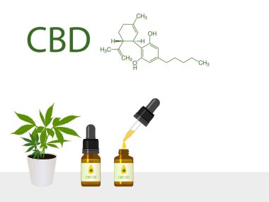 Marihuana, esrar bitkisi ve Cbd ürünü yağı.