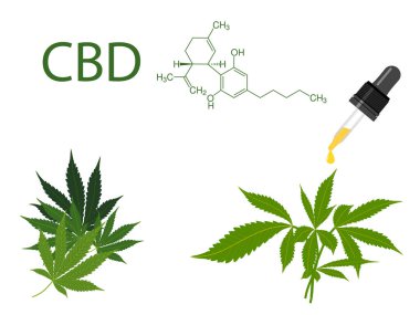 Beyaz vektör üzerinde yeşil tıbbi marihuana yapraklı Cbd kenevir yağı