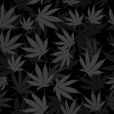 Tıbbi marihuana iz bırakmaz.