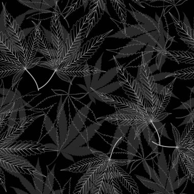 Tıbbi marihuana hatlarıyla iz bırakır.