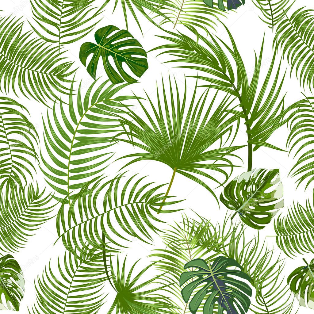Vector tropical jungle seamless pattern with palm trees leaves and monstera, background for textile, wedding, Birthday and invitation cards