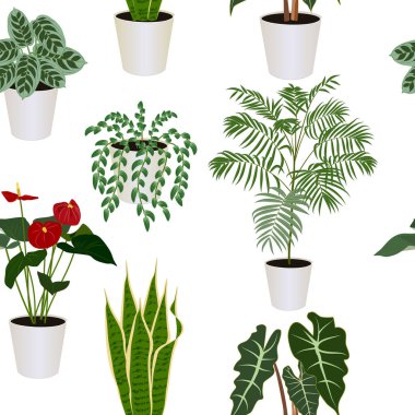 Kusursuz tropik modern ev bitkileri sansevieria, yılan bitkisi, tradescantia, ctenanthe burle-marxii, anturium, alocasia, palmiye ağacı, beyaz arkaplan, vektör çizimi