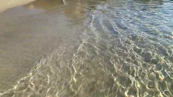 Playa de arena, agua de mar limpia — Vídeo de stock