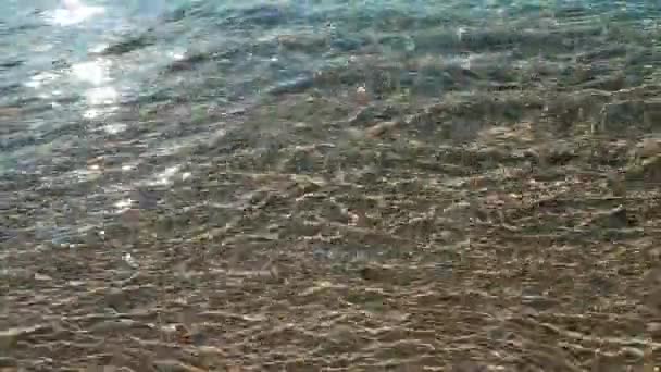 Playa de arena, agua de mar limpia — Vídeo de stock
