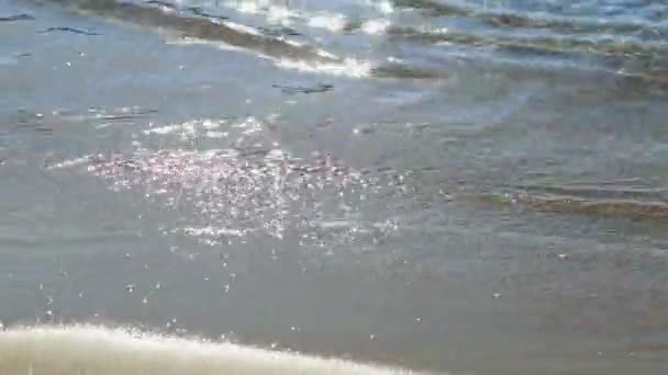 Praia de areia, água do mar limpa — Vídeo de Stock