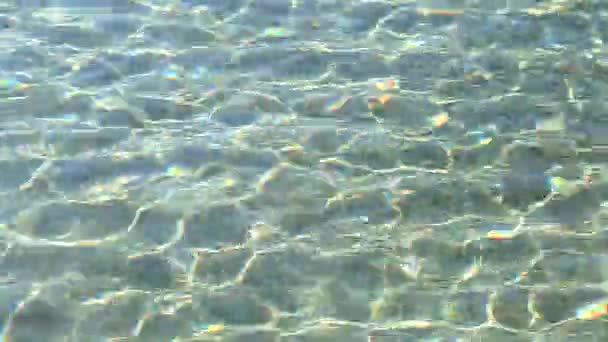 Playa de arena, agua de mar limpia — Vídeo de stock