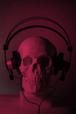 kafatası ile kulaklıklar