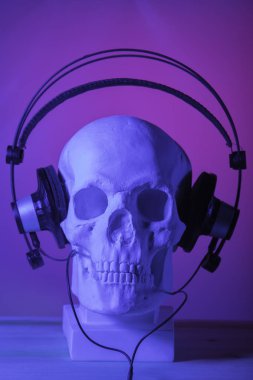 kafatası ile kulaklıklar