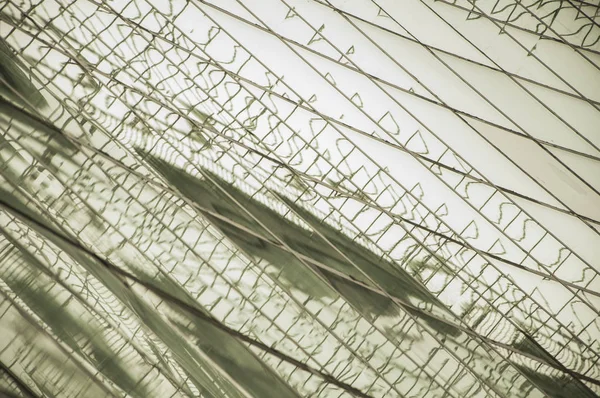 Dokulu büyük pencereler