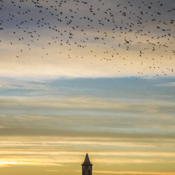 Kuşlar günbatımı turuncu gökyüzü kubbe