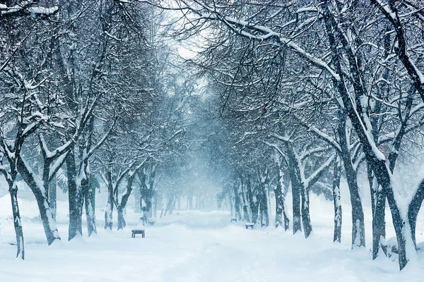 Parkbank und Bäume von starkem Schnee bedeckt — Stockfoto
