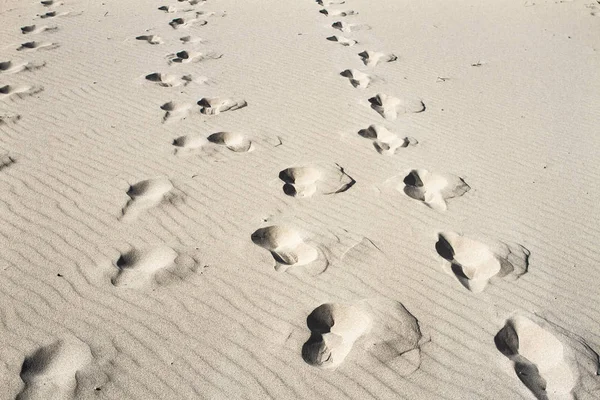 Yaz güneş mavi gökyüzü kum okyanus çöl ayak izleri