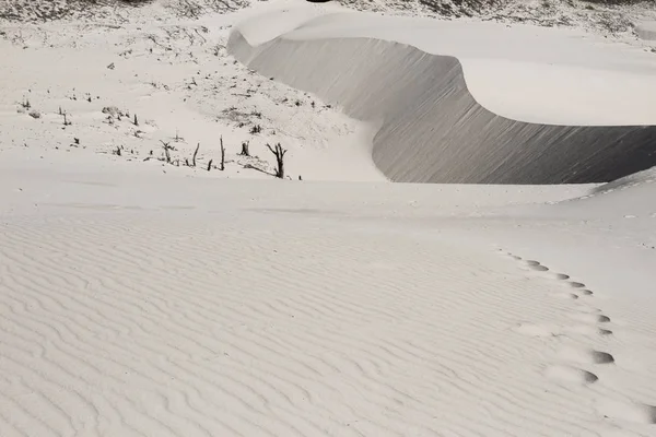 Yaz güneş mavi gökyüzü kum okyanus çöl ayak izleri