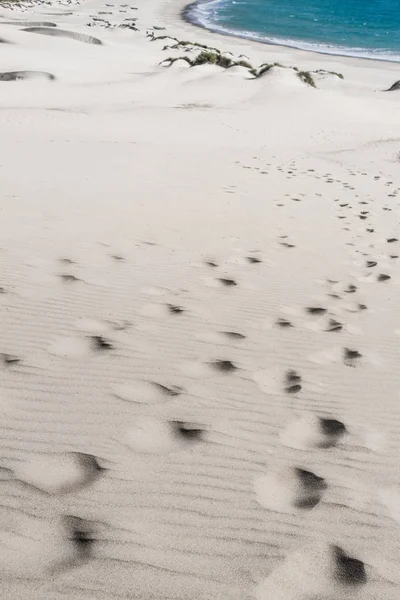 Yaz güneş mavi gökyüzü kum okyanus çöl ayak izleri
