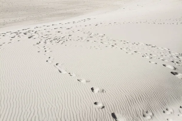 Yaz güneş mavi gökyüzü kum okyanus çöl ayak izleri