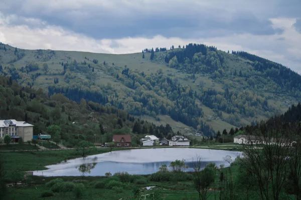 Dağlarda sabah çiğ sis güneş ışınları