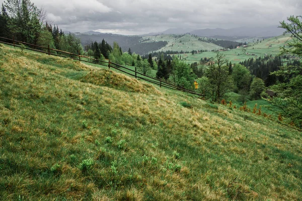 Dağlarda sabah çiğ sis güneş ışınları