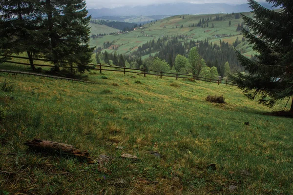 Dağlarda sabah çiğ sis güneş ışınları